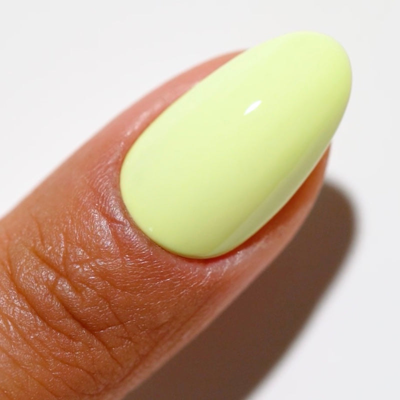 Eucalyptus #2514 thumbnail 2