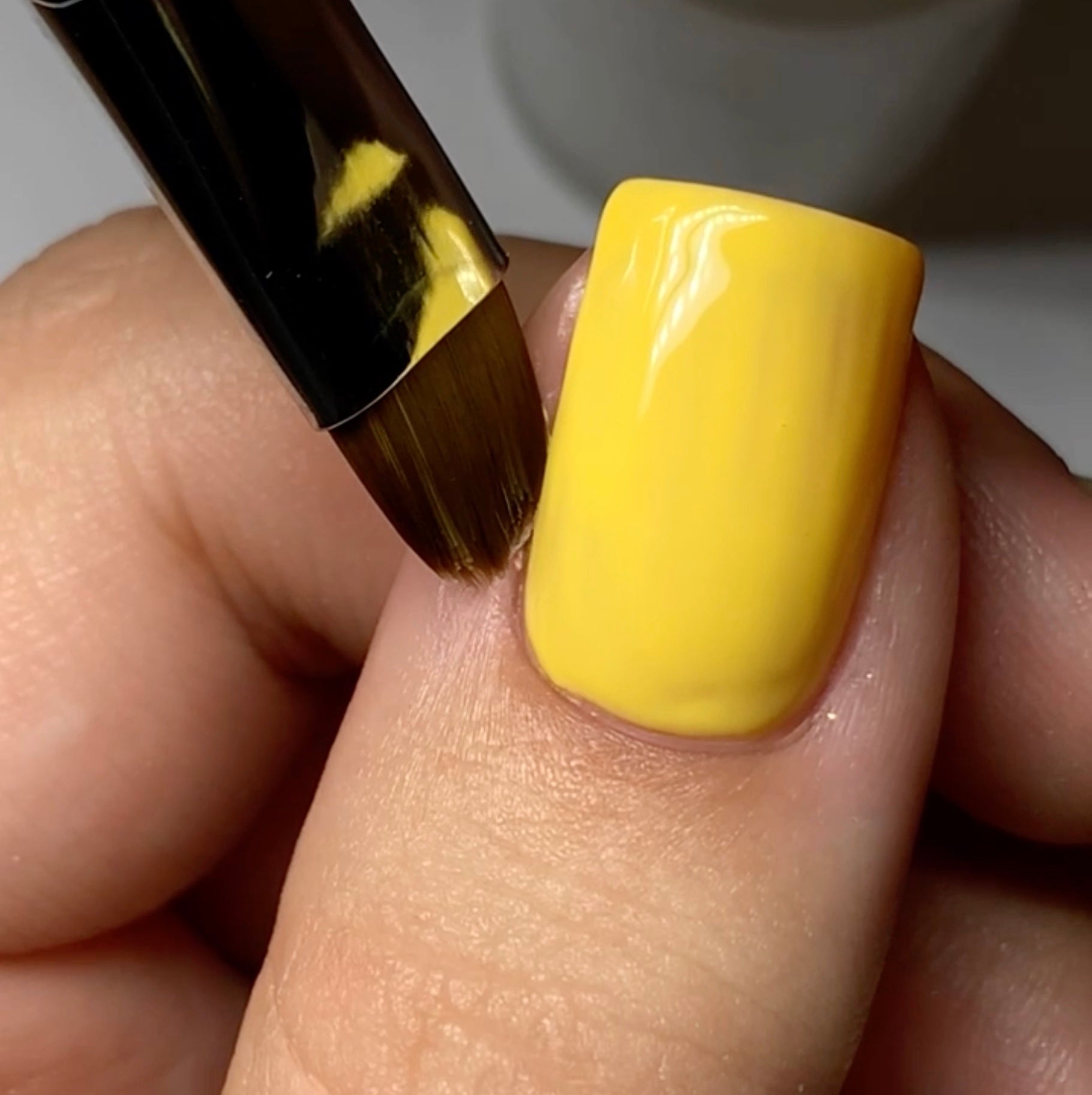 French Brush #10 thumbnail 5