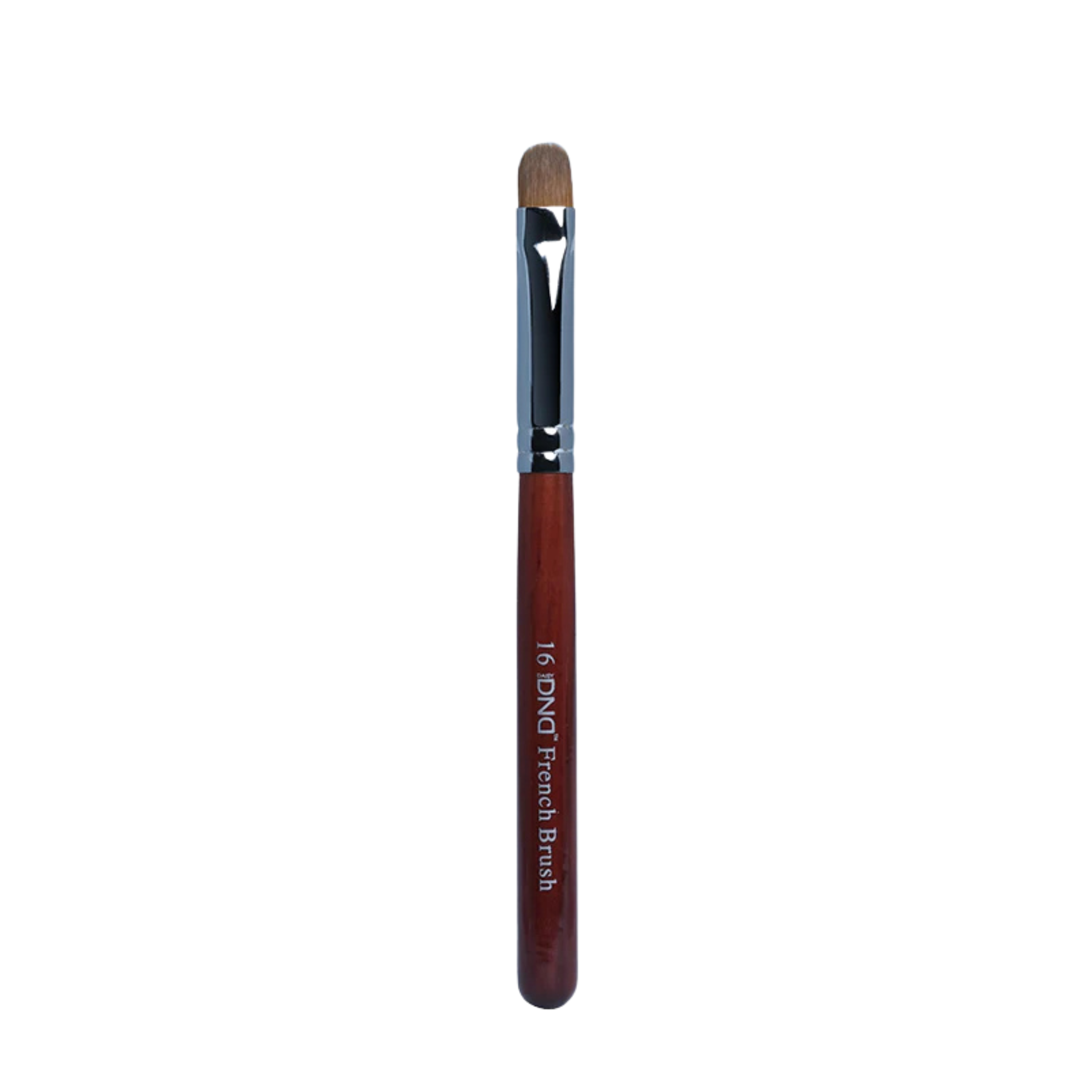 French Brush #16