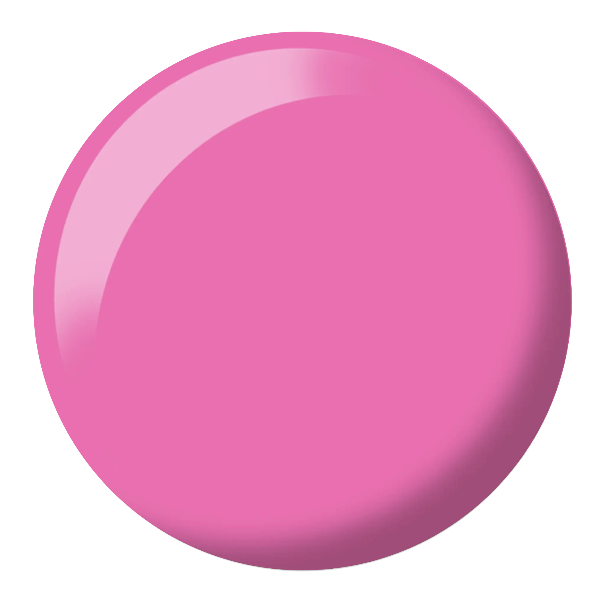 French Rose #577 thumbnail 2