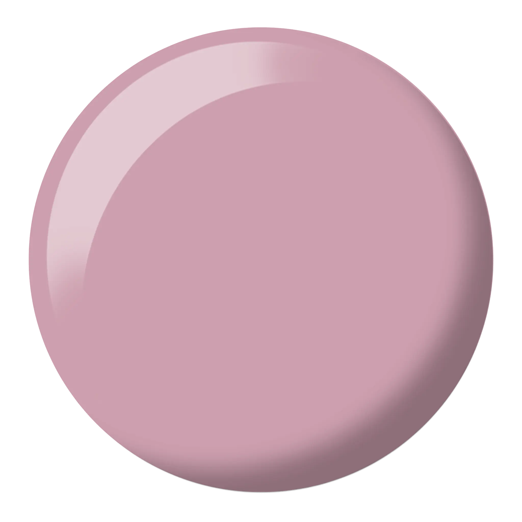 Hazelnut #607 thumbnail 2