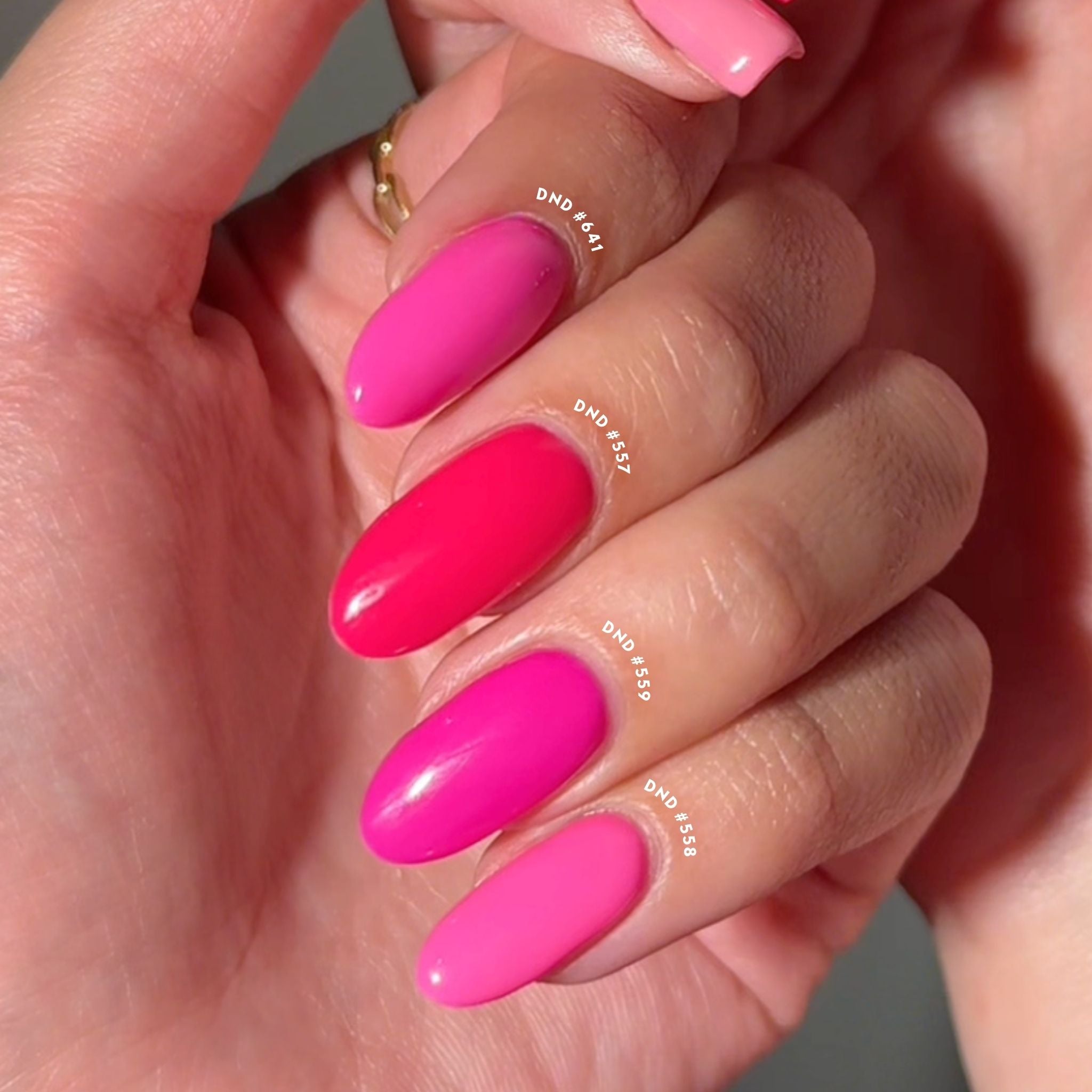 Hot Raspberry #557 thumbnail 3