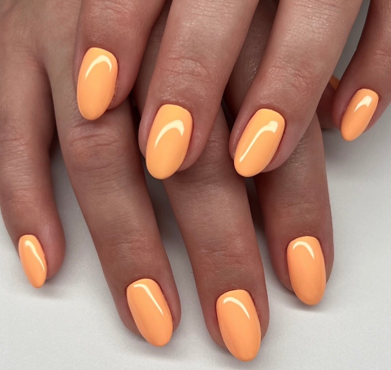 Mandarin Glow #2538 thumbnail 2