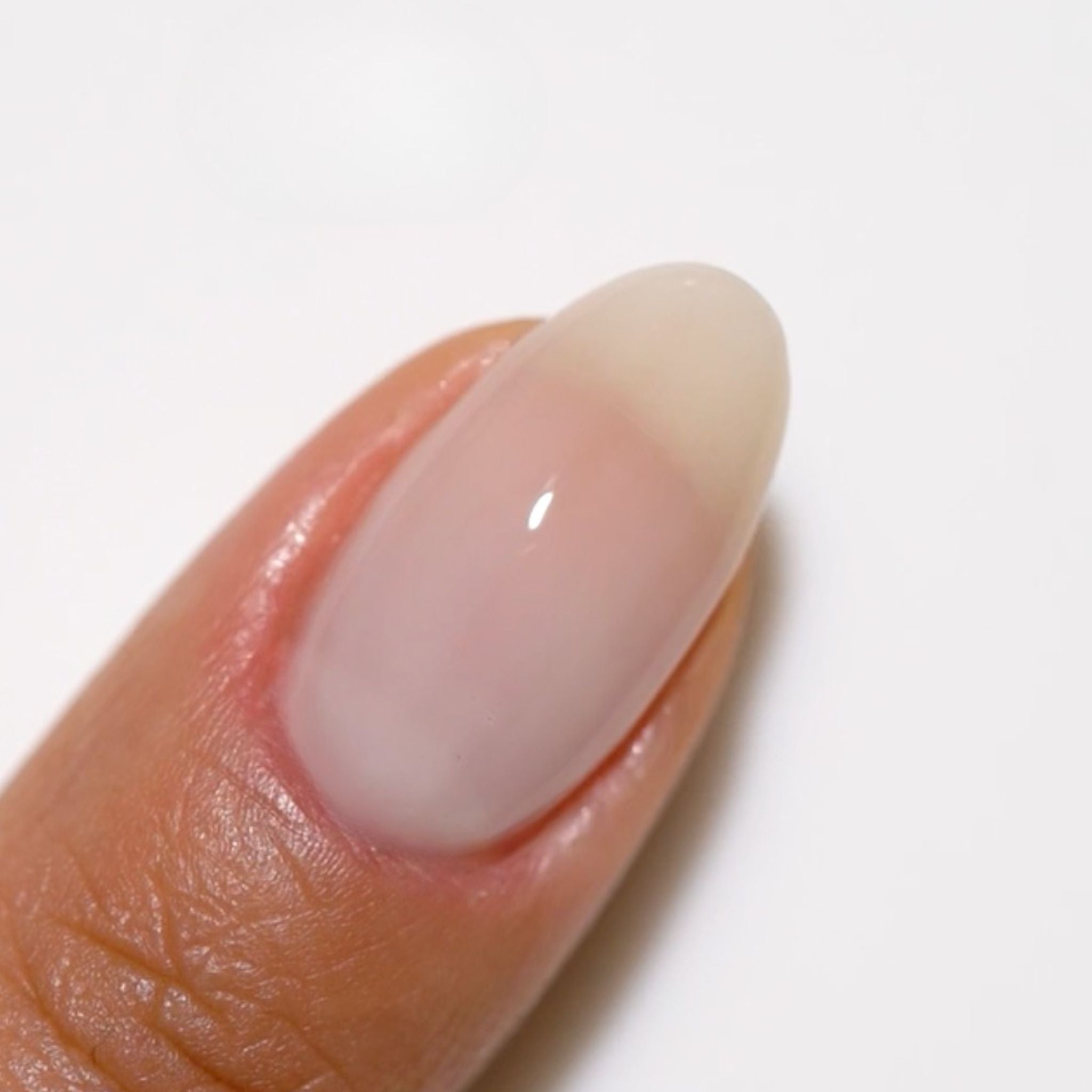 Milky White #2439 thumbnail 3