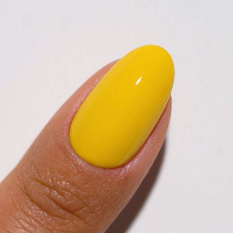 Mimosa DIVA #203 thumbnail 2