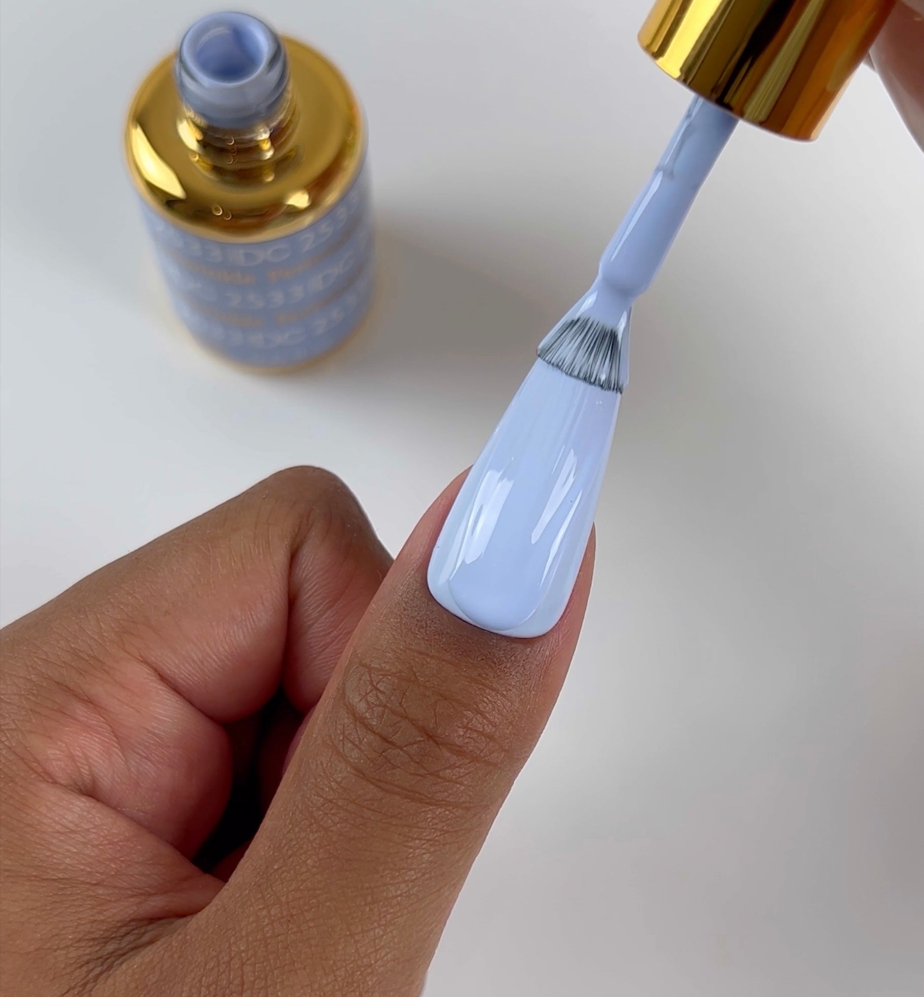 Periwinkle #2533 thumbnail 5