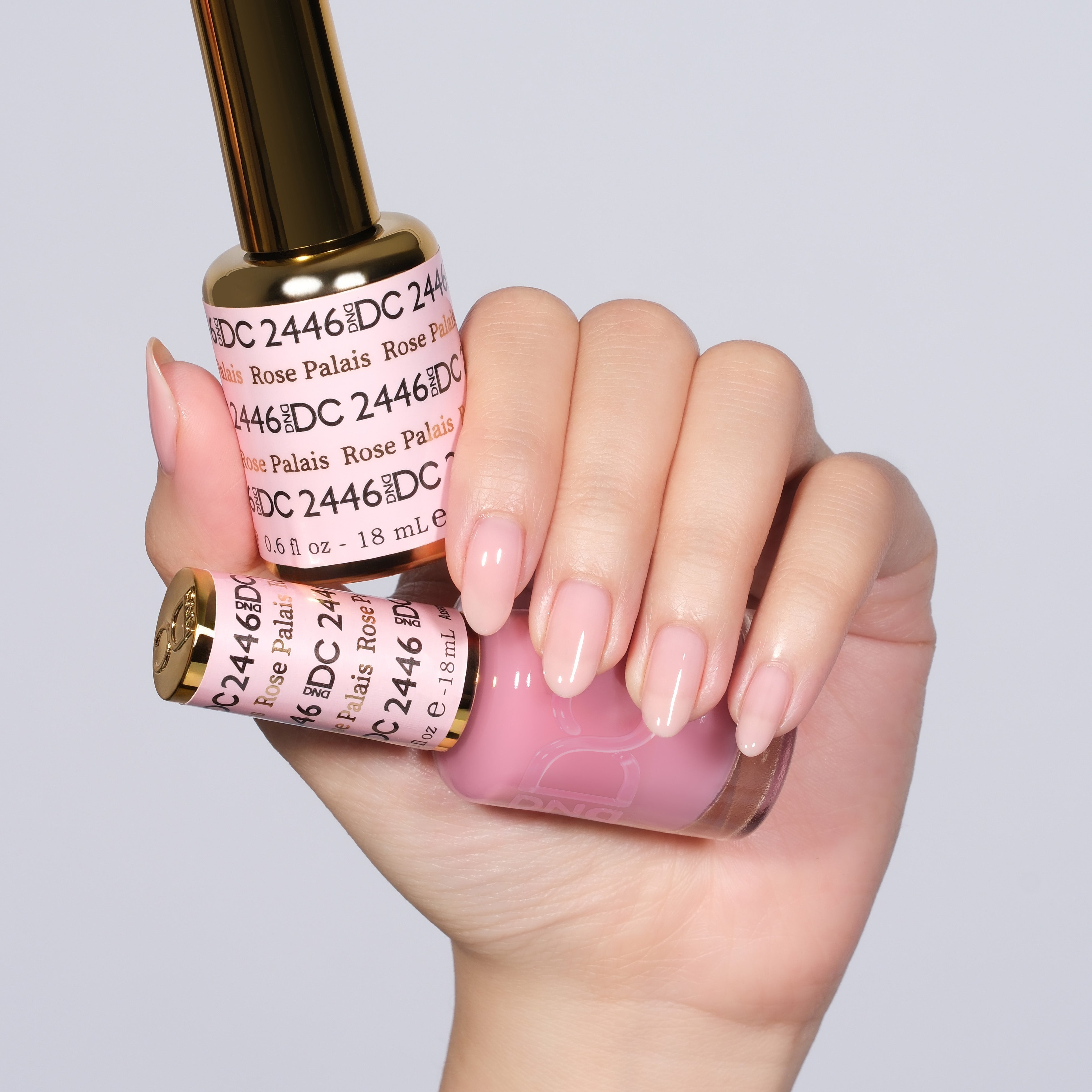 Rose Palais #2446 thumbnail 2