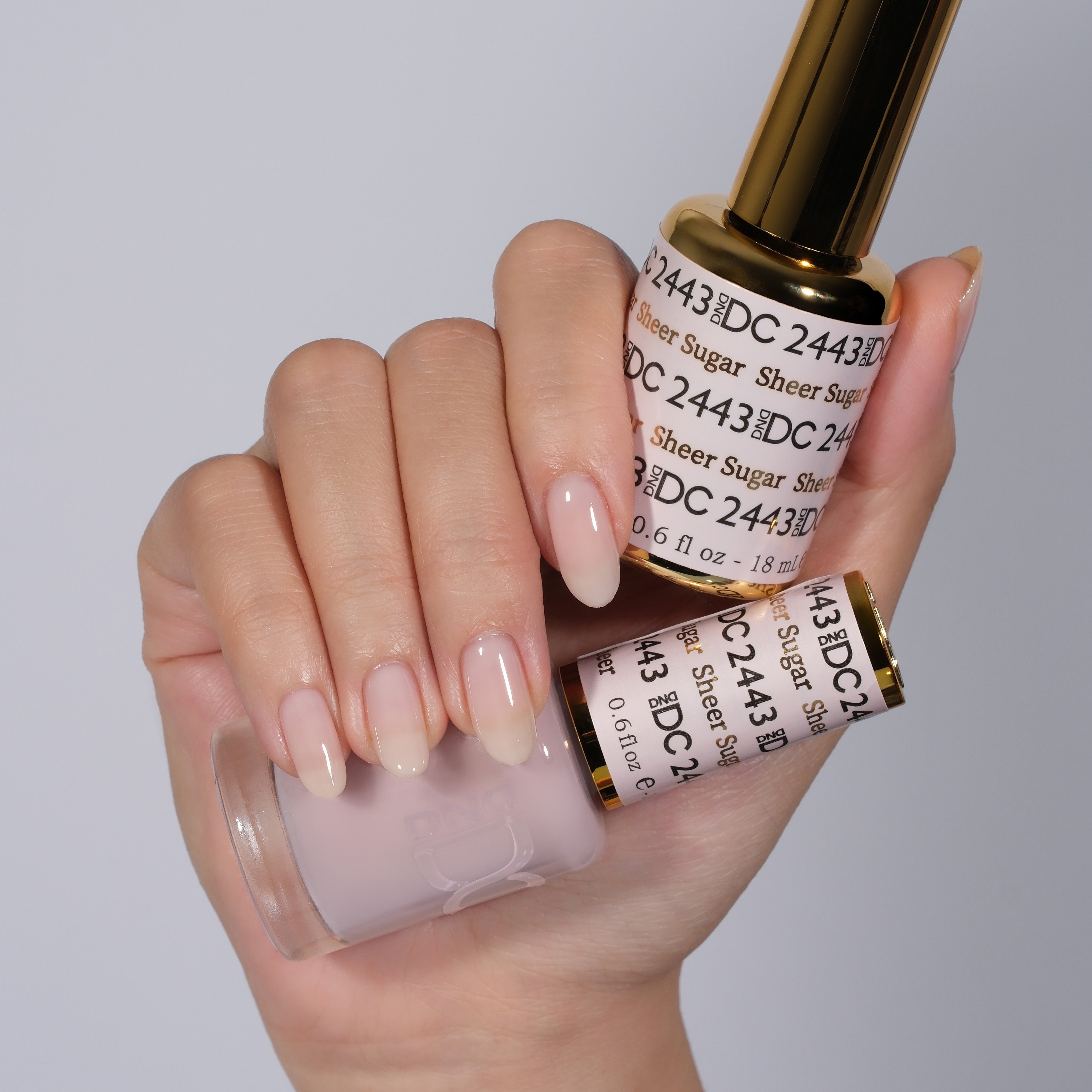 Sheer Sugar #2443 thumbnail 2