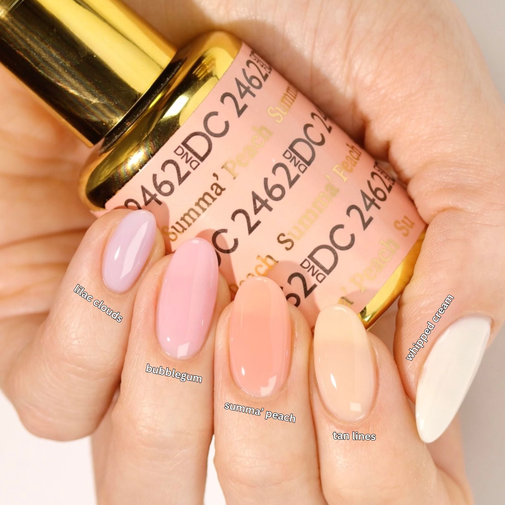Summa Peach #2462 thumbnail 4