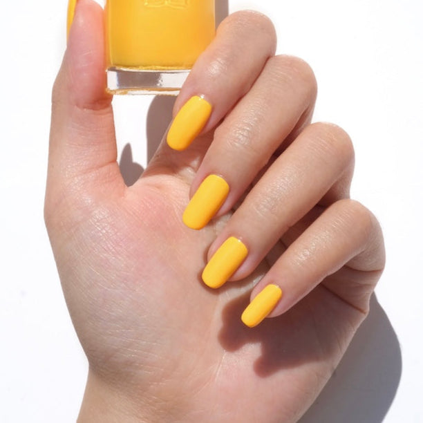 Summer Sun #506 thumbnail 2