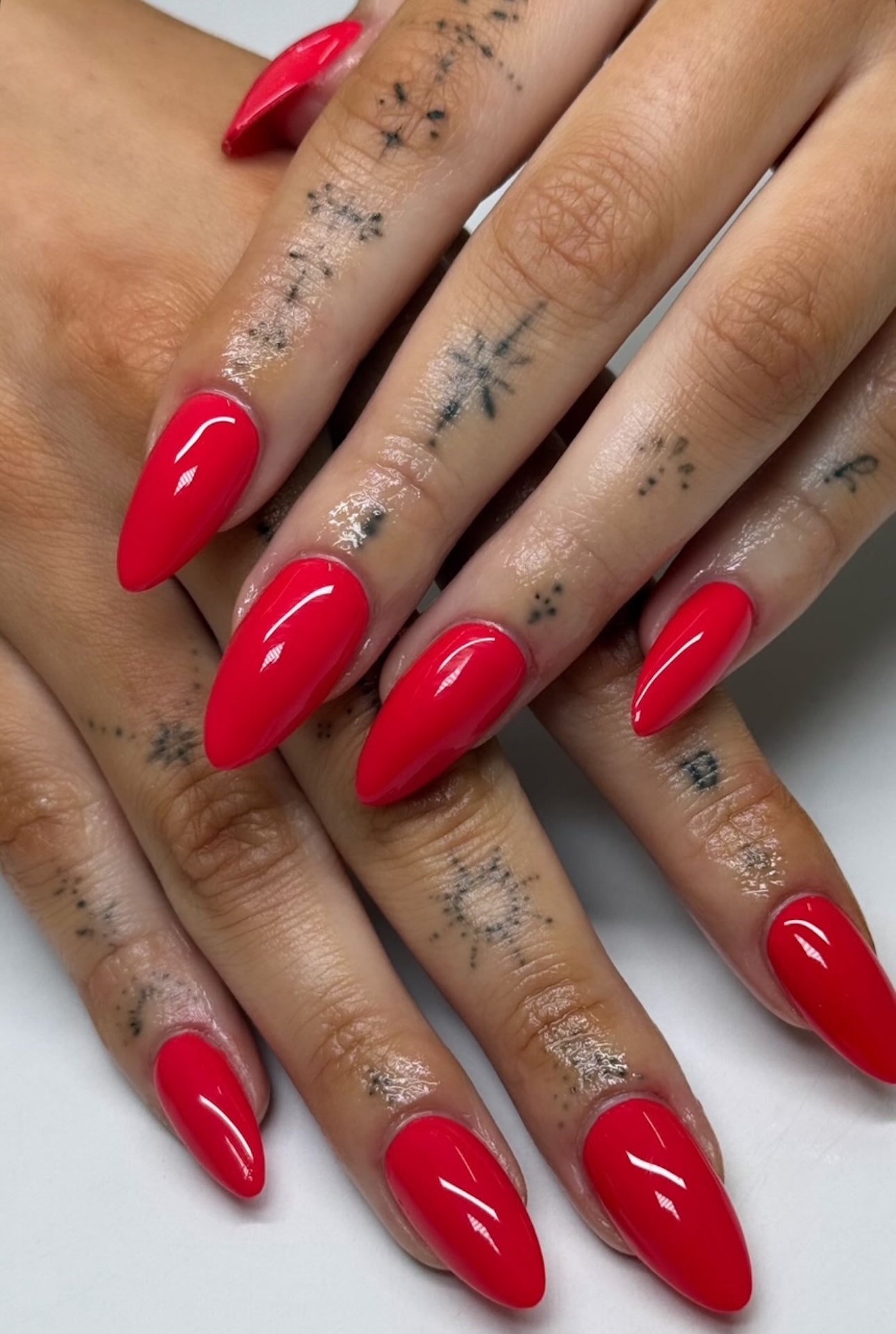 Thai Chili Red #065 thumbnail 3