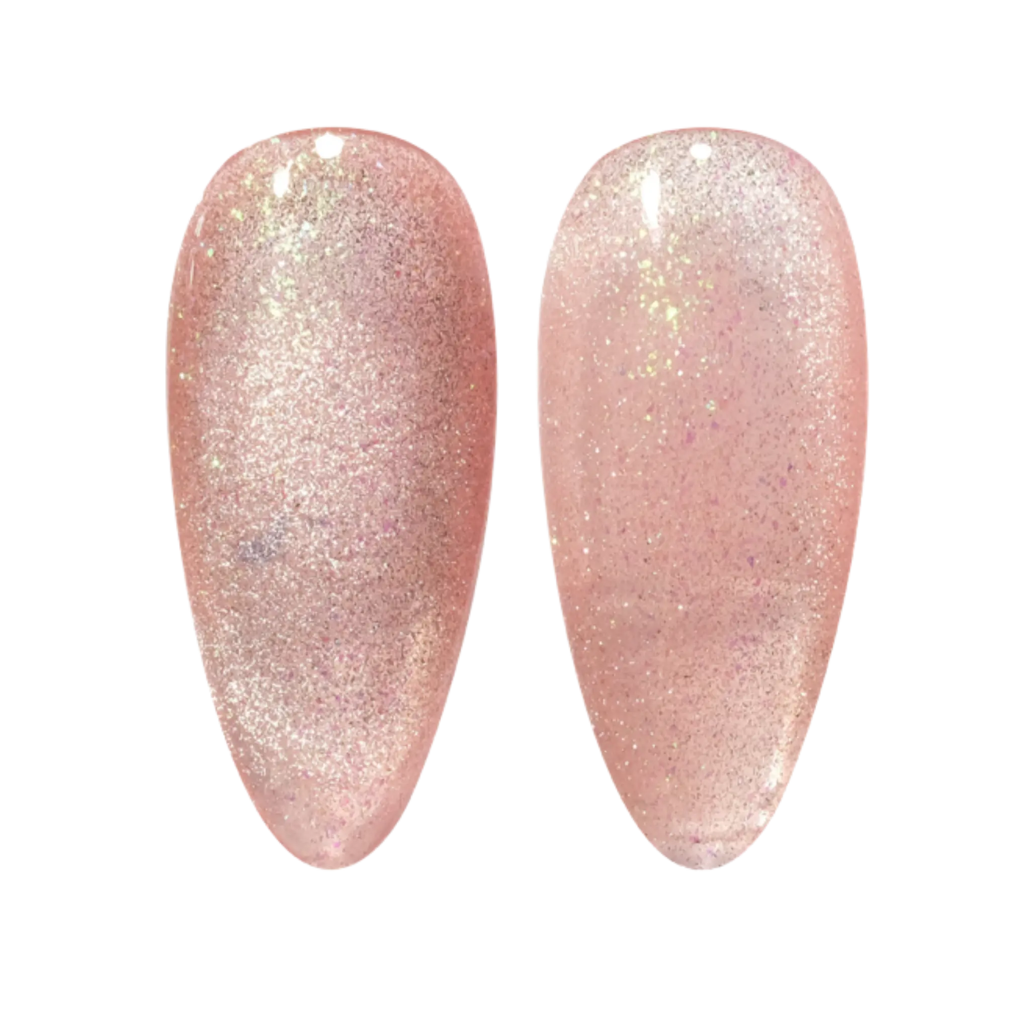 9D Cat Eye Unicorn #15- Conch Shell thumbnail 5